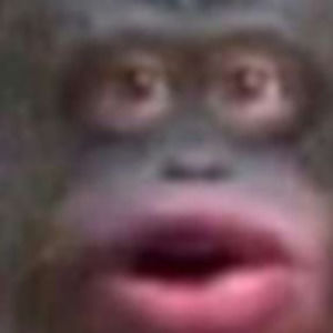 Meet your Posher, Floppydusc